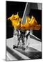 Yellow Calla Lilies in Vase-null-Mounted Poster