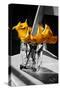 Yellow Calla Lilies in Vase-null-Stretched Canvas