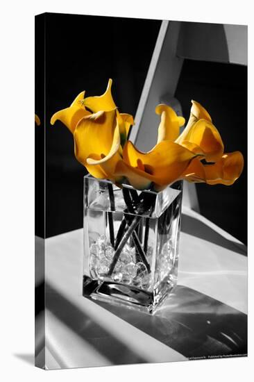 Yellow Calla Lilies in Vase-null-Stretched Canvas