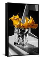 Yellow Calla Lilies in Vase-null-Framed Stretched Canvas