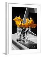 Yellow Calla Lilies in Vase-null-Framed Photo