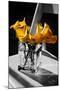 Yellow Calla Lilies in Vase-null-Mounted Photo