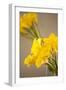 Yellow Calla Lilies-Karyn Millet-Framed Photographic Print