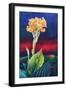 Yellow Canna Lily-Frances Ferdinands-Framed Giclee Print