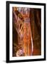 Yellow canyon and the Treasury in the Morning. Petra, Jordan-William Perry-Framed Photographic Print