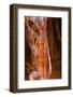 Yellow canyon and the Treasury in the Morning. Petra, Jordan-William Perry-Framed Photographic Print