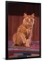 Yellow Cat Sitting on Rug-DLILLC-Framed Photographic Print