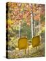 Yellow Chairs and Fall Foliage-Owaki - Kulla-Stretched Canvas