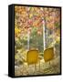 Yellow Chairs and Fall Foliage-Owaki - Kulla-Framed Stretched Canvas