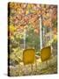 Yellow Chairs and Fall Foliage-Owaki - Kulla-Stretched Canvas