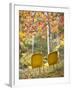 Yellow Chairs and Fall Foliage-Owaki - Kulla-Framed Photographic Print