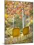 Yellow Chairs and Fall Foliage-Owaki - Kulla-Mounted Photographic Print
