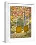 Yellow Chairs and Fall Foliage-Owaki - Kulla-Framed Photographic Print