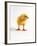 Yellow Chick-Jane Burton-Framed Photographic Print