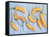 Yellow Chilli Peppers Chillies Freshly Harvested on Pale Blue Background-Gary Smith-Framed Stretched Canvas