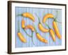 Yellow Chilli Peppers Chillies Freshly Harvested on Pale Blue Background-Gary Smith-Framed Photographic Print