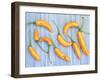 Yellow Chilli Peppers Chillies Freshly Harvested on Pale Blue Background-Gary Smith-Framed Photographic Print