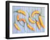 Yellow Chilli Peppers Chillies Freshly Harvested on Pale Blue Background-Gary Smith-Framed Photographic Print
