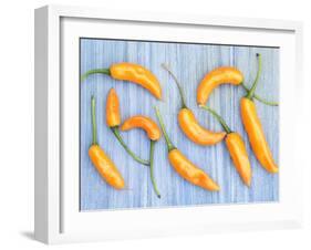 Yellow Chilli Peppers Chillies Freshly Harvested on Pale Blue Background-Gary Smith-Framed Photographic Print