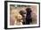 Yellow, Chocolate and Black Labradors-null-Framed Photographic Print