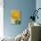 Yellow Chrysanthemum-null-Art Print displayed on a wall