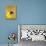 Yellow Circle-Laszlo Moholy-Nagy-Giclee Print displayed on a wall