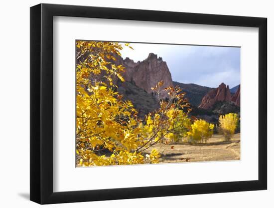 Yellow Colorado-duallogic-Framed Photographic Print