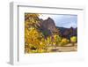 Yellow Colorado-duallogic-Framed Photographic Print