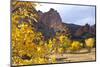 Yellow Colorado-duallogic-Mounted Photographic Print