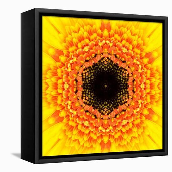 Yellow Concentric Flower Center: Mandala Kaleidoscopic Design-tr3gi-Framed Stretched Canvas