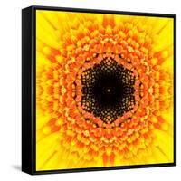 Yellow Concentric Flower Center: Mandala Kaleidoscopic Design-tr3gi-Framed Stretched Canvas