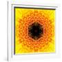 Yellow Concentric Flower Center: Mandala Kaleidoscopic Design-tr3gi-Framed Art Print