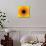 Yellow Concentric Flower Center: Mandala Kaleidoscopic Design-tr3gi-Mounted Art Print displayed on a wall