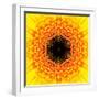 Yellow Concentric Flower Center: Mandala Kaleidoscopic Design-tr3gi-Framed Art Print