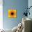 Yellow Concentric Flower Center: Mandala Kaleidoscopic Design-tr3gi-Mounted Art Print displayed on a wall