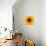 Yellow Concentric Flower Center: Mandala Kaleidoscopic Design-tr3gi-Art Print displayed on a wall