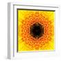 Yellow Concentric Flower Center: Mandala Kaleidoscopic Design-tr3gi-Framed Art Print