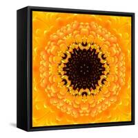 Yellow Concentric Flower Center: Mandala Kaleidoscopic Design-tr3gi-Framed Stretched Canvas