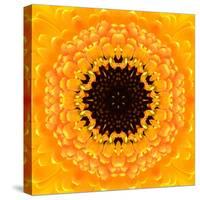 Yellow Concentric Flower Center: Mandala Kaleidoscopic Design-tr3gi-Stretched Canvas