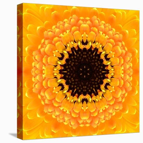 Yellow Concentric Flower Center: Mandala Kaleidoscopic Design-tr3gi-Stretched Canvas