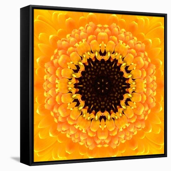 Yellow Concentric Flower Center: Mandala Kaleidoscopic Design-tr3gi-Framed Stretched Canvas