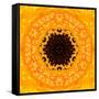 Yellow Concentric Flower Center: Mandala Kaleidoscopic Design-tr3gi-Framed Stretched Canvas