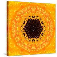 Yellow Concentric Flower Center: Mandala Kaleidoscopic Design-tr3gi-Stretched Canvas