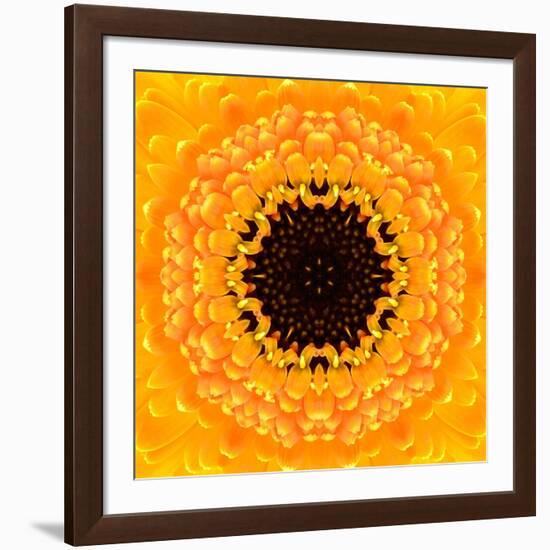 Yellow Concentric Flower Center: Mandala Kaleidoscopic Design-tr3gi-Framed Art Print