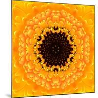 Yellow Concentric Flower Center: Mandala Kaleidoscopic Design-tr3gi-Mounted Art Print