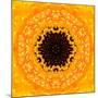 Yellow Concentric Flower Center: Mandala Kaleidoscopic Design-tr3gi-Mounted Art Print