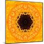 Yellow Concentric Flower Center: Mandala Kaleidoscopic Design-tr3gi-Mounted Art Print