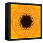 Yellow Concentric Flower Center: Mandala Kaleidoscopic Design-tr3gi-Framed Stretched Canvas