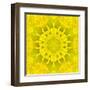 Yellow Concentric Flower Center: Mandala Kaleidoscopic Design-tr3gi-Framed Art Print