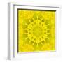 Yellow Concentric Flower Center: Mandala Kaleidoscopic Design-tr3gi-Framed Art Print